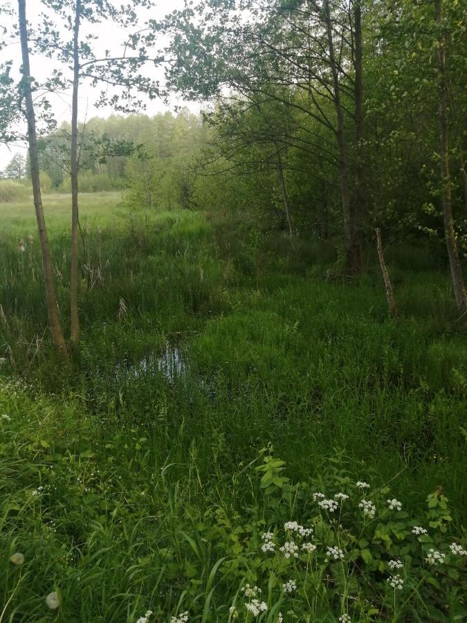 BiałowieżaOstojaアパートメント エクステリア 写真