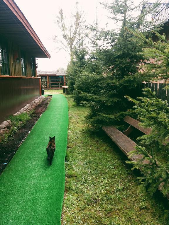 BiałowieżaOstojaアパートメント エクステリア 写真